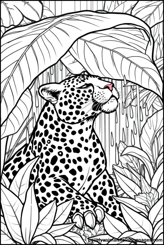 Jaguar Coloring Pages