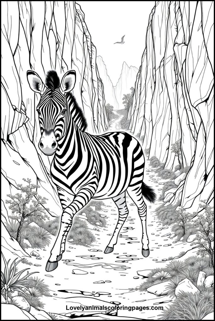 Zebra Coloring Pages