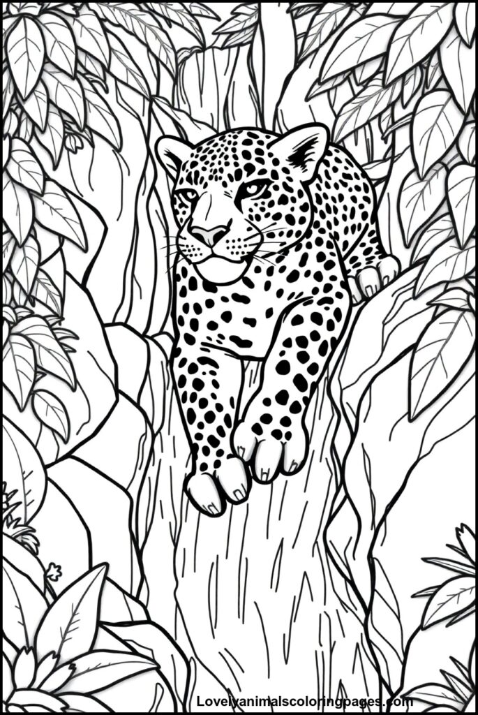 Jaguar Coloring Pages
