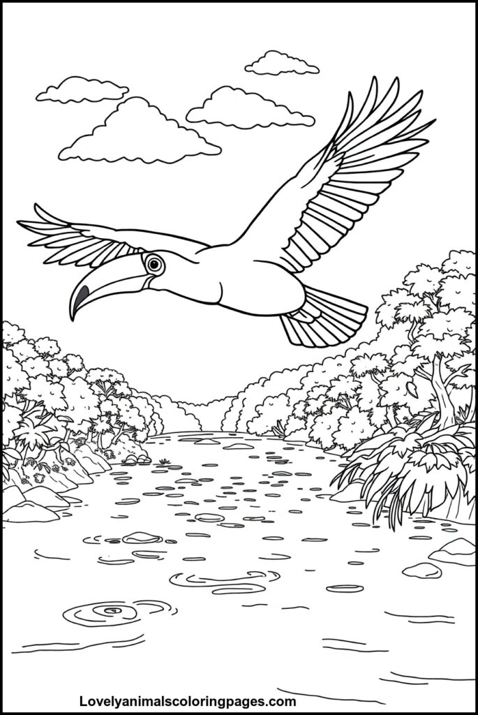 Toucan Coloring Pages