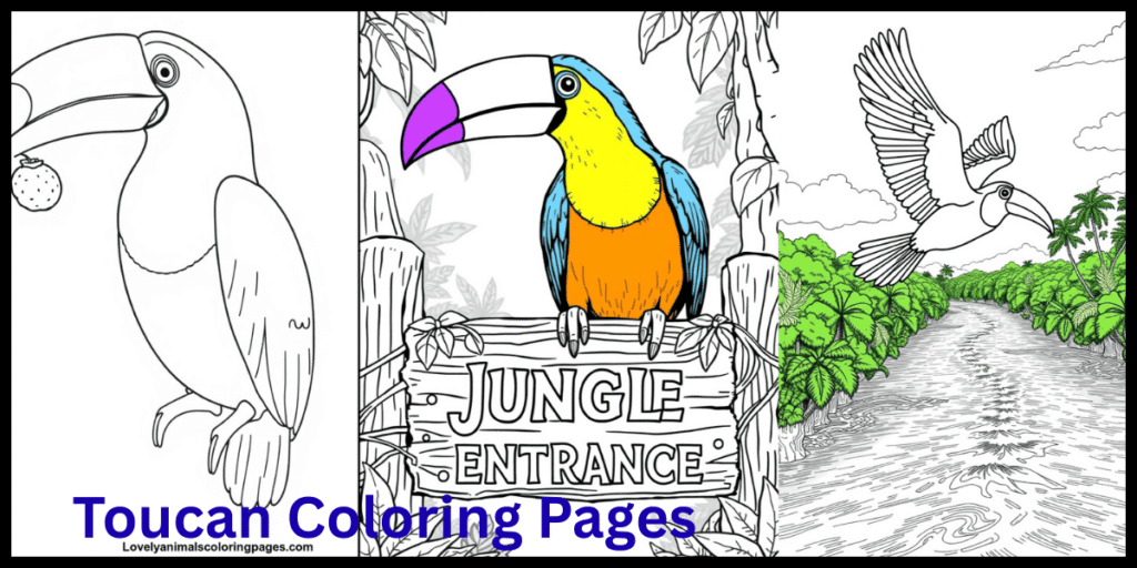 Toucan Coloring Pages